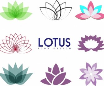 Lotus Colección De Iconos Diferentes Boceto Coloreado