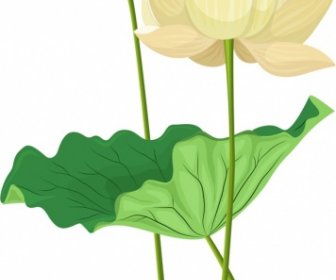 Lotusmalerei Blühende Blume Skizze Farbig Klassisches Design