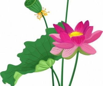 Lotus Peinture Floral Feuille Bourgeon Icônes Coloré Classique