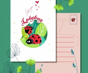 Love Postcard Template Ladybug Icons Decor