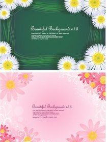 Lovely Small Chrysanthemum Backgrounds