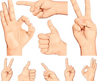 Man Hand Gestures Vector Design