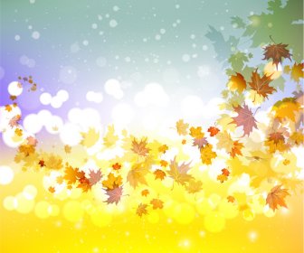 Ahorn Blatt Herbst Hintergrund