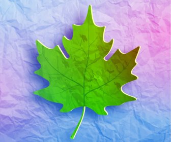 Maple Leaf On Grunge Paper