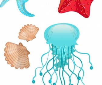 Marine Background Starfish Shell Jellyfish Icons Colorful Decor