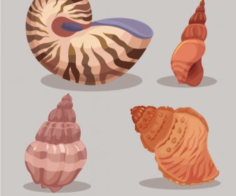 Marine Conch Icons Colored Classical Sketch