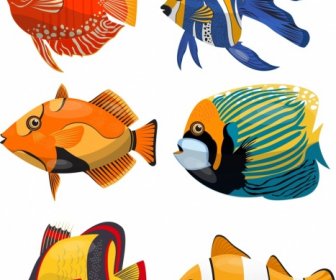 Creature Marine Sfondo Pesci Colorati Icone Arredamento