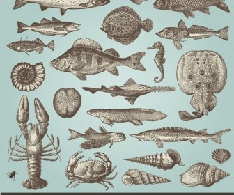 海洋デザインエレメント:黒、白、魚、カニ、貝殻