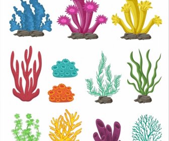 海洋设计元素五颜六色的珊瑚图标