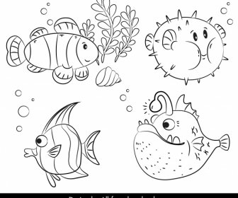 해양 요소 물고기 종 스케치 손으로 그린 디자인