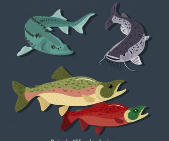 Marinha Peixes Espécie ícones Coloridos Design Desenhado à Mão