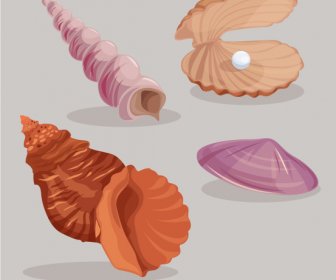 Marine Shell Icons Colored Classic Sketch