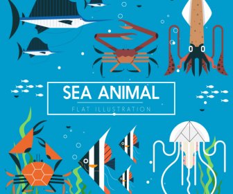 海洋物種背景五顏六色的平面經典素描