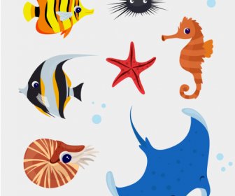 marine species icons colorful animals sketch