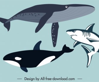 Espécies Marinhas ícones Baleias Tubarões Esboço Design Clássico