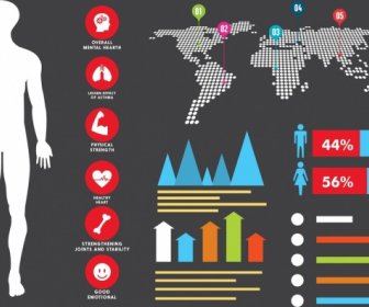 의료 Infographic 인간의 실루엣 지도 차트 장기 아이콘