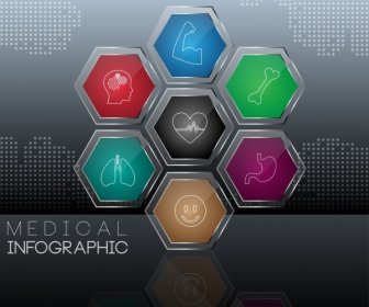 Medis Infographic Mengkilap Hexagon Warna-warni Dekorasi Organ Simbol