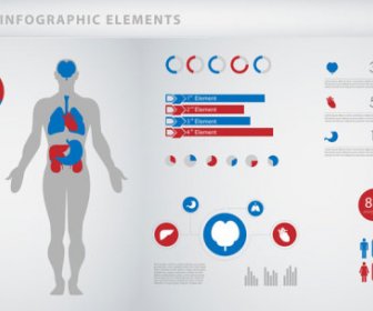 Infografías Médicas Diseño Creativo Vector
