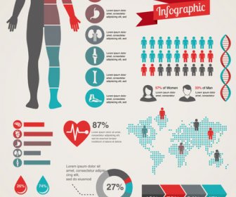 Infografías Médicas Diseño Creativo Vector