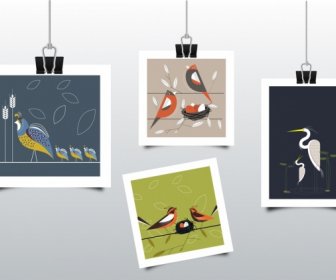 Souvenirs De Fond Décor D’icônes Photos Oiseaux