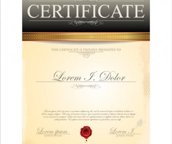 Certificado De Moderna Plantilla Vector Creativo