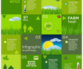 Modern Ekoloji Infographics Yeşil şablon Vektör