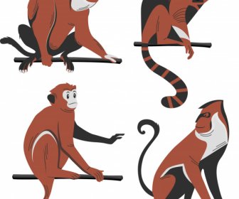 Monyet Spesies Ikon Berwarna Desain Klasik