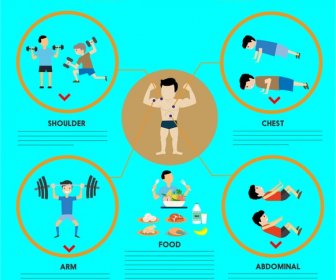 Muskelaufbau Übungen Infografik Illustration Mit Verschiedenen Übungen