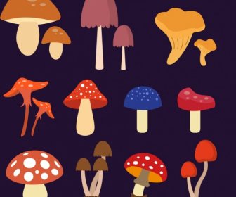 Mushroom Icons Collection Various Multicolored Types
