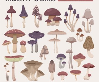 mushroom icons colored classical sketch