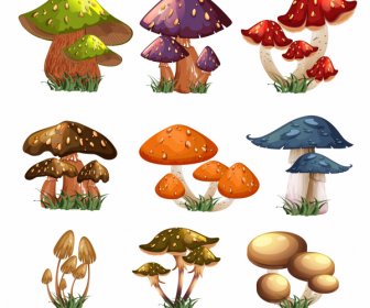 mushroom icons colorful modern sketch