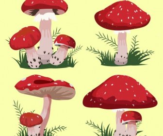 Mushroom Iconos Aislamiento Cono Rojo Forma Diseño De Dibujos Animados
