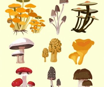Mushroom Icons Isolation 3d Multicolored Design Various Types