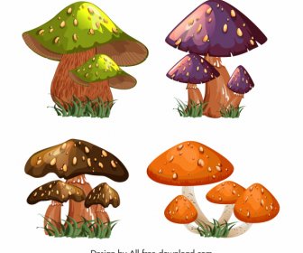 Mushrooms Icons Colorful 3d Sketch