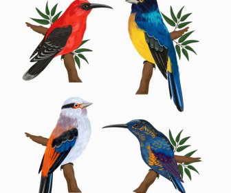 Natürlichen Vogel Symbole Bunten Sitzstangen Geste Entwurfsskizze