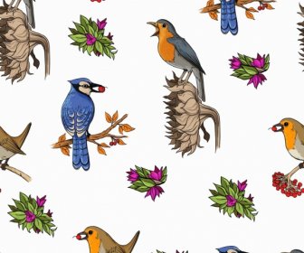 自然鸟类图案五颜六色明亮的装饰