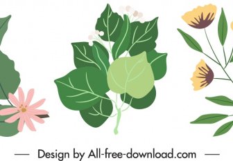 Natural Elements Icons Classical Floral Leaves Sketch