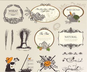 Natural Food Labels And Ornament Vector