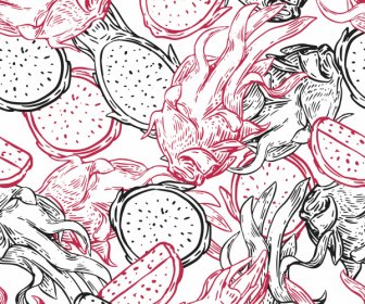 Natürliches Futtermuster Drachenfruchtskizze Klassisch Handgezeichnet