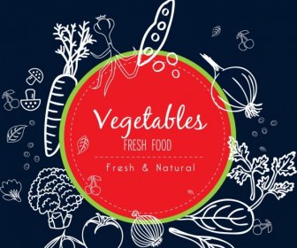 Promozione Alimentare Naturale Sfondo Vegetale Handdrawn Disegno Icone