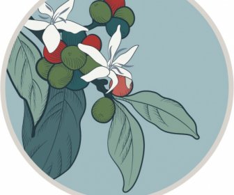 Natural Fruits Label Template Retro Design Handdrawn Sketch