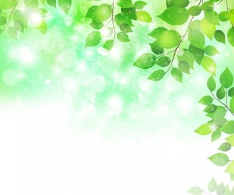 Natural Green Halation Background Art