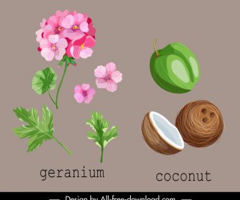 Natural Herb Icons Geranium Coconut Sketch