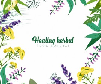 Natural Herbs Advertising Colorful Plant Icons Decoration