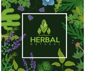Herbal Alami Latar Belakang Hijau Daun Bunga Ikon Dekorasi
