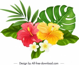 천연 히비스커스 Plumeria 꽃 아이콘 여러 가지 빛깔의 스케치