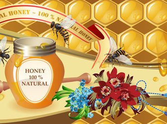 천연 벌 꿀 크리에이 티브 포스터 Vecor