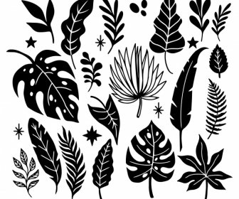Natural Leaf Icons Black White Handdrawn Classic Sketch