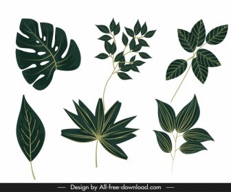 Natural Leaf Icons Classic Green Decor