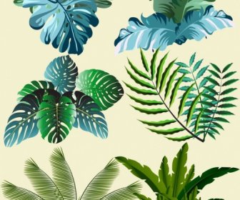 ícones De Folhas Naturais Esboço Verde Moderno